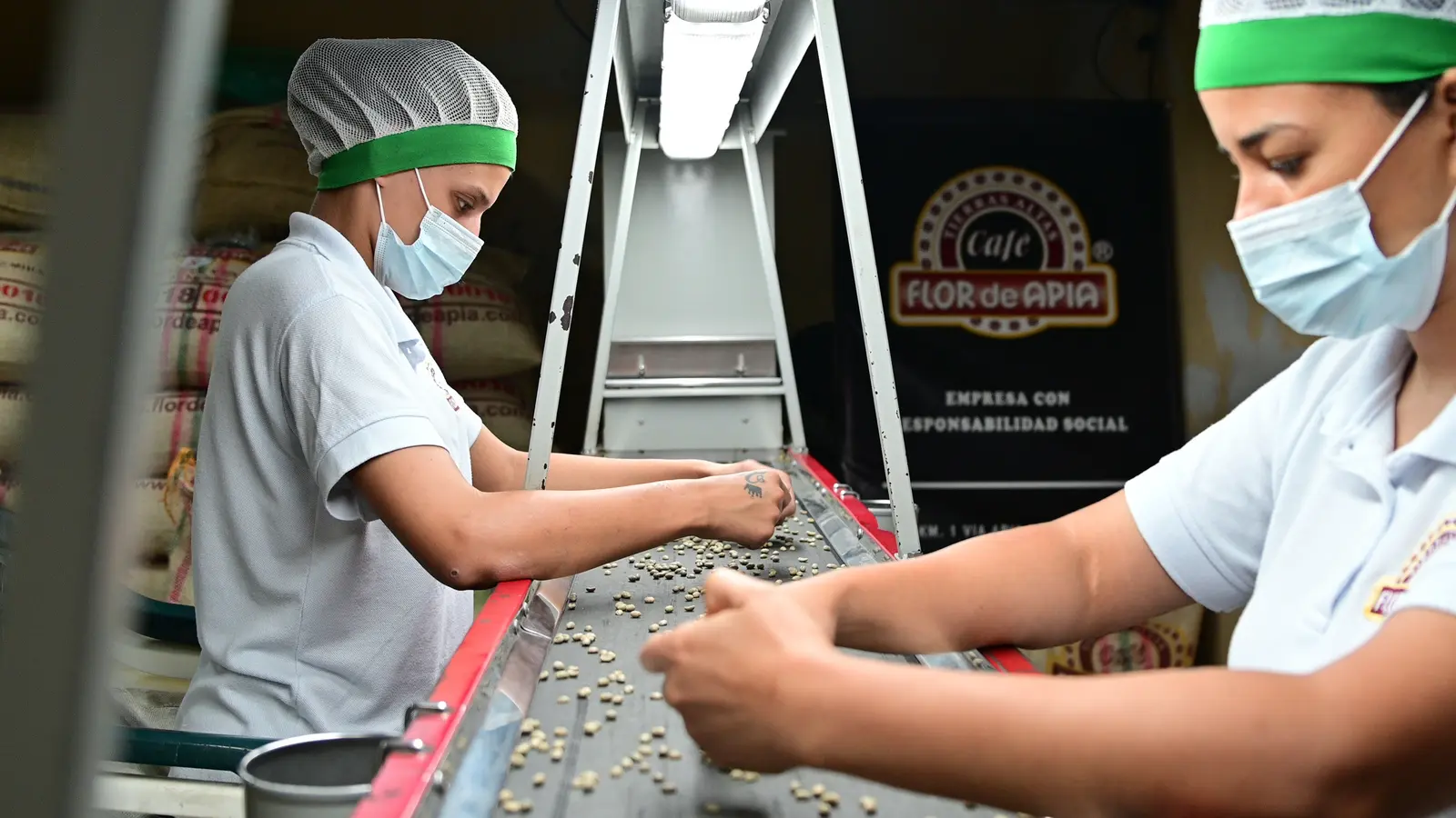Mujeres en la planta de selección manual de granos de café verde