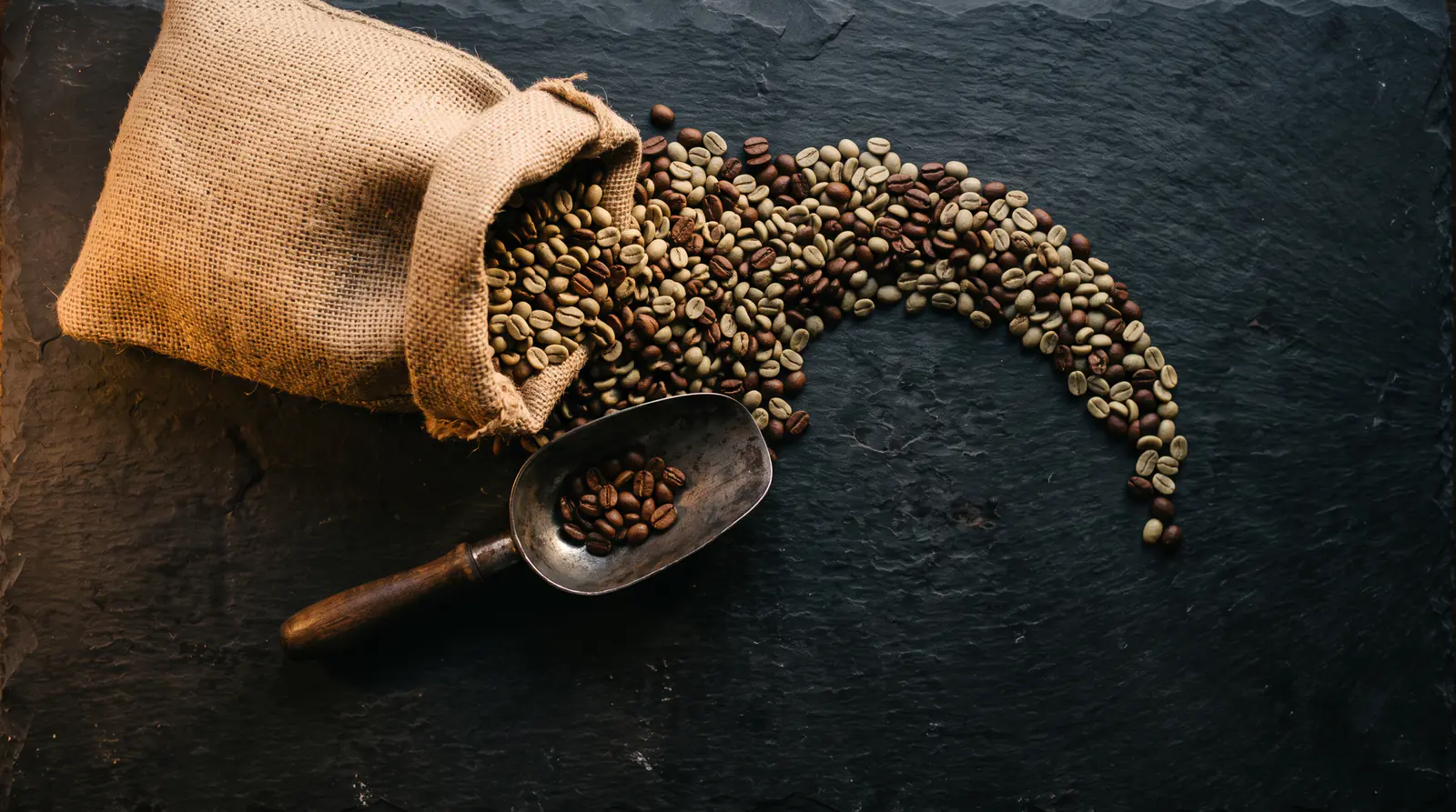 Saco de arpillera volcado con granos de café verde y tostado sobre pizarra negra