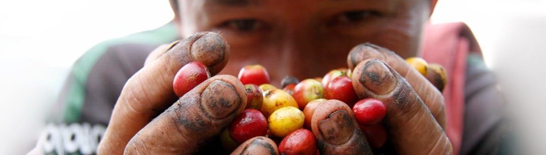 Culminó el primer Foro Mundial de Productores de Café